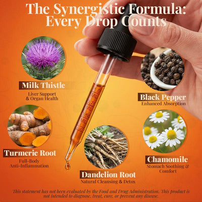 Rayva Turmeric Curcumin Milk Thistle Liquid Drops